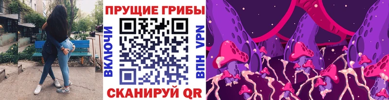 сколько стоит  Новомосковск  Псилоцибиновые грибы MAGIC MUSHROOMS 